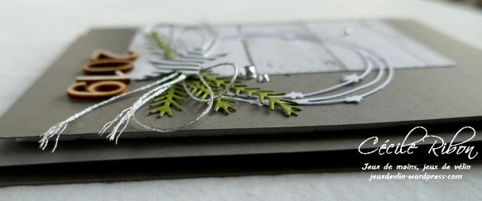 Carte FUSION40 - P1000842