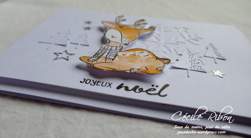 Carte AID43 - P1010227