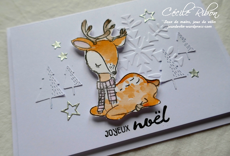 Carte AID43 - P1010233