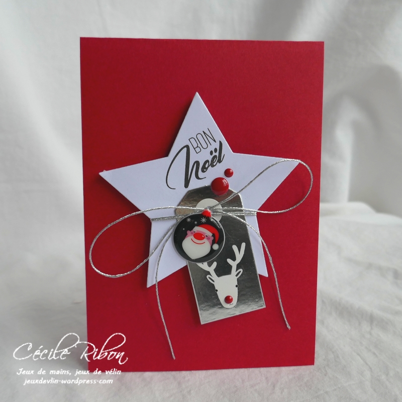 Carte AID43 - P1010240