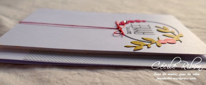 Carte CTD522 - P1010584