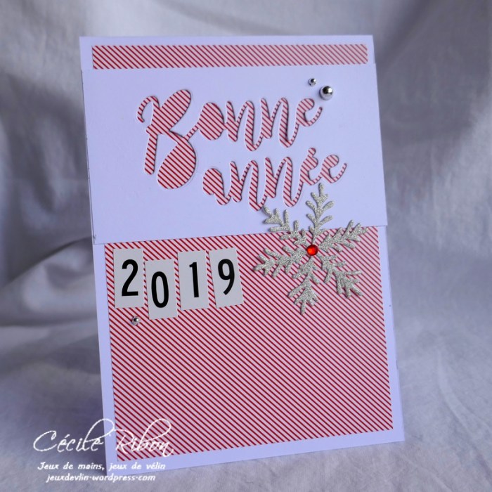 Carte CTS300 -P1010594