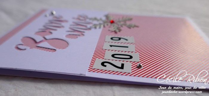 Carte CTS300 - P1010600