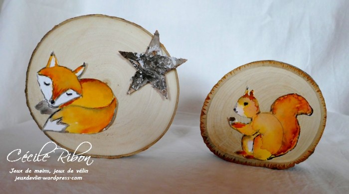 Noël2018 - P1010377