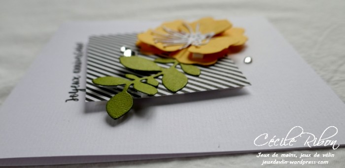 carte ctd524 - p1010927