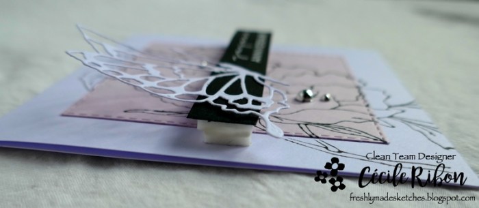 carte fms371 - p1020002