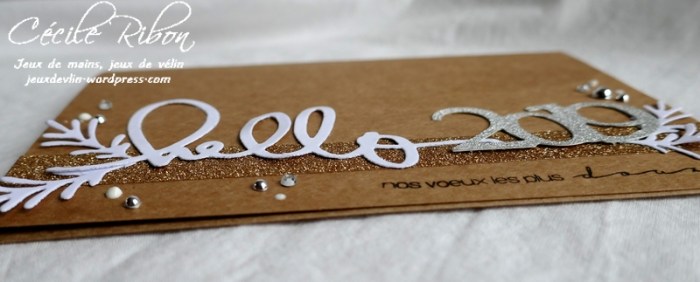 cartevivi85-p1020246