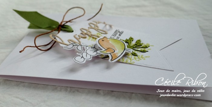 Carte CBBB3 - P1020511