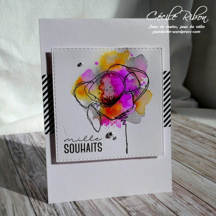 Carte CTD531 - P1020965