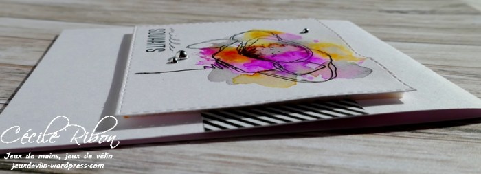 Carte CTD531 - P1020968