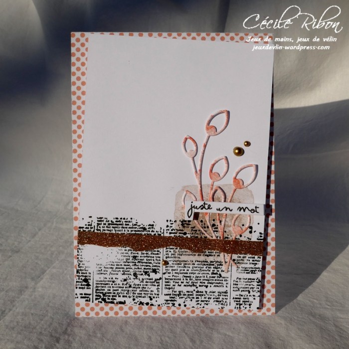 Carte CTS310 - P1030003