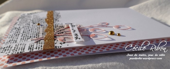 Carte CTS310 - P1030013