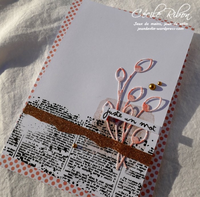 Carte CTS310 - P1030022