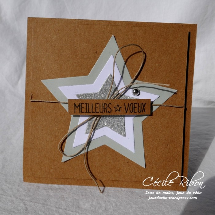 Carte DTFMS - P1000396