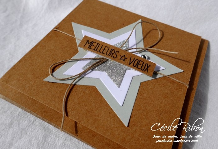 Carte DTFMS - P1000397