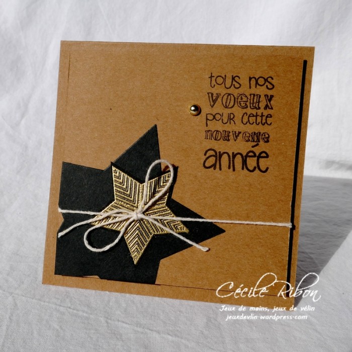 Carte DTFMS - P1000404