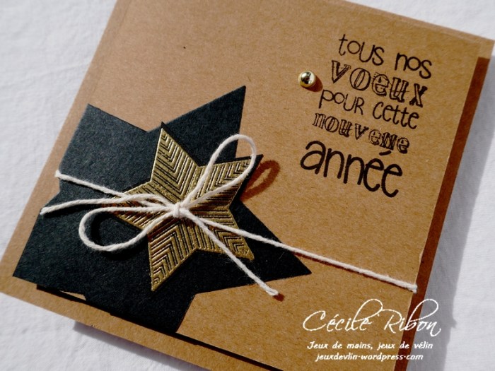 Carte DTFMS - P1000410