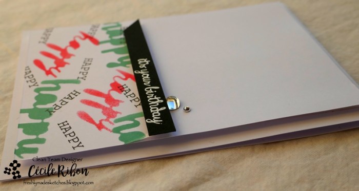 Carte FMS376 - P1020815