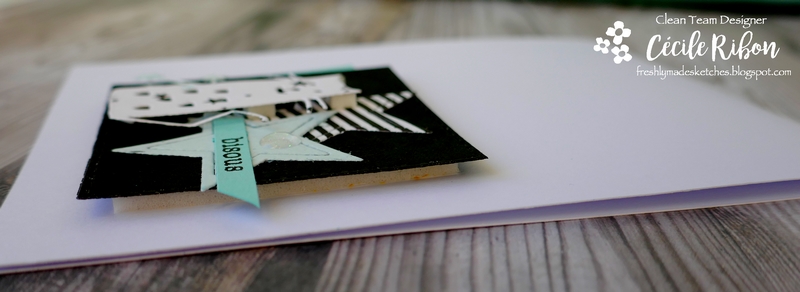 Carte FMS377 - P1030080