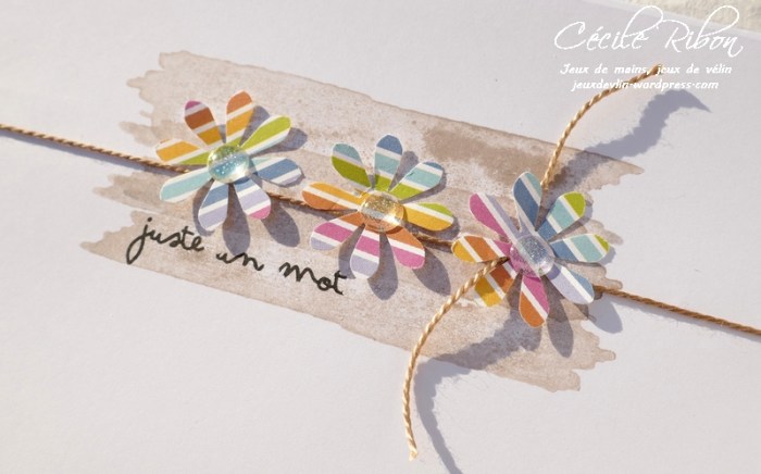 Carte FUSION42 - P1030059