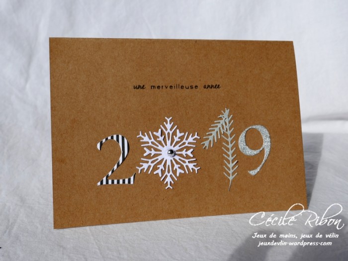 Carte Véronique - P1000380