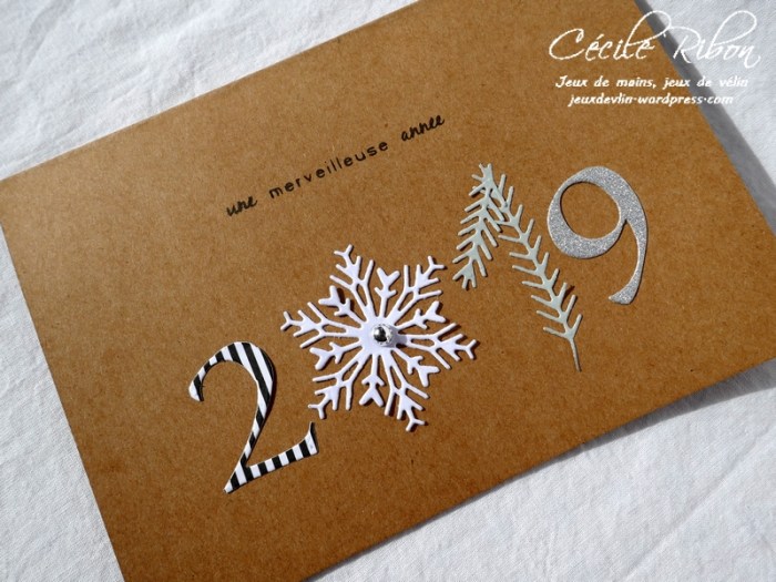 Carte Véronique - P1000390