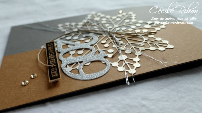 Carte Vicky - P1020459