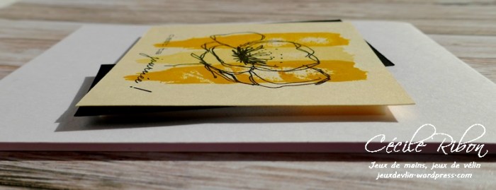 Carte AID50#2 - P1020988