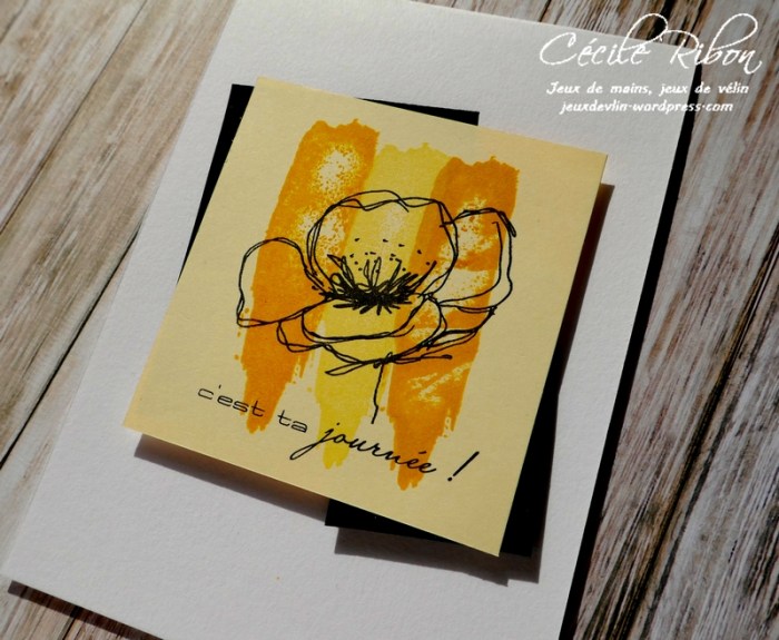 Carte AID50#2 - P1020992