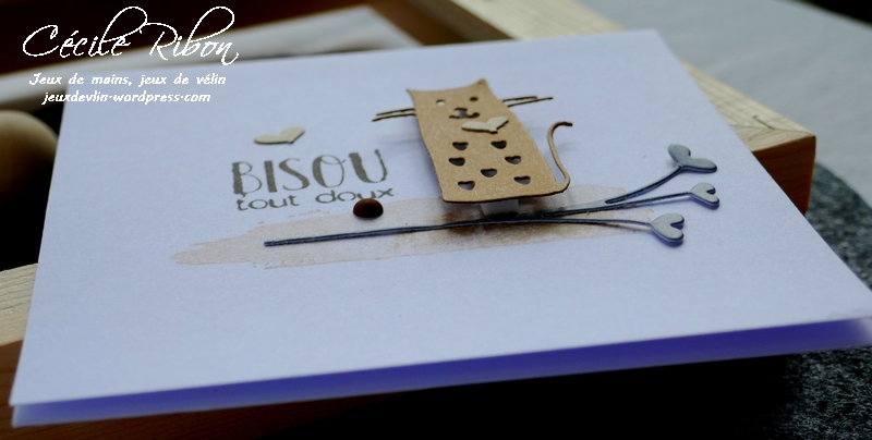 Carte AID50#5 - P1030359