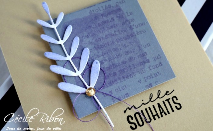 Color Throwdown #533