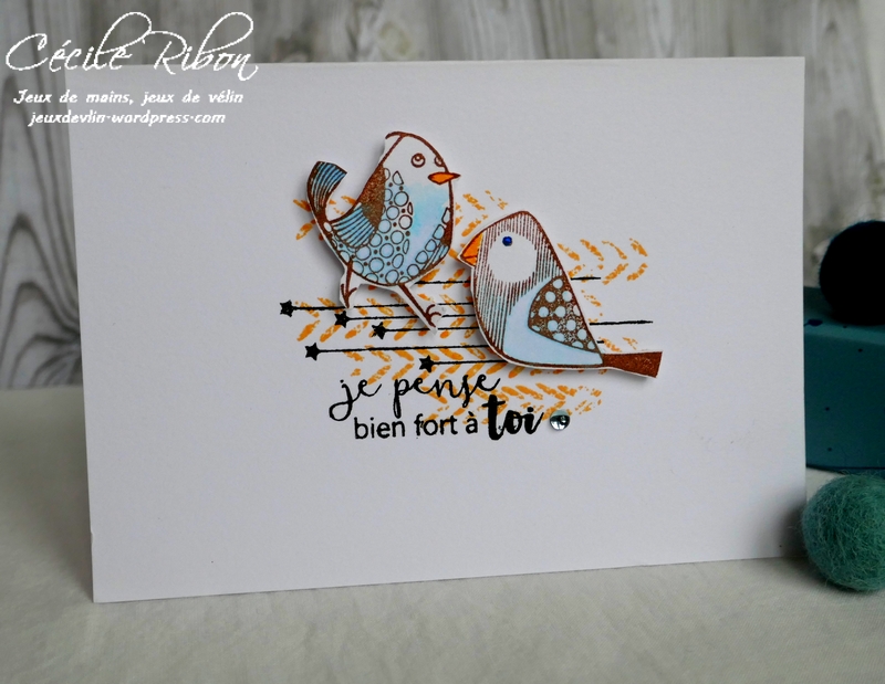 Carte CTD534 - P1030595