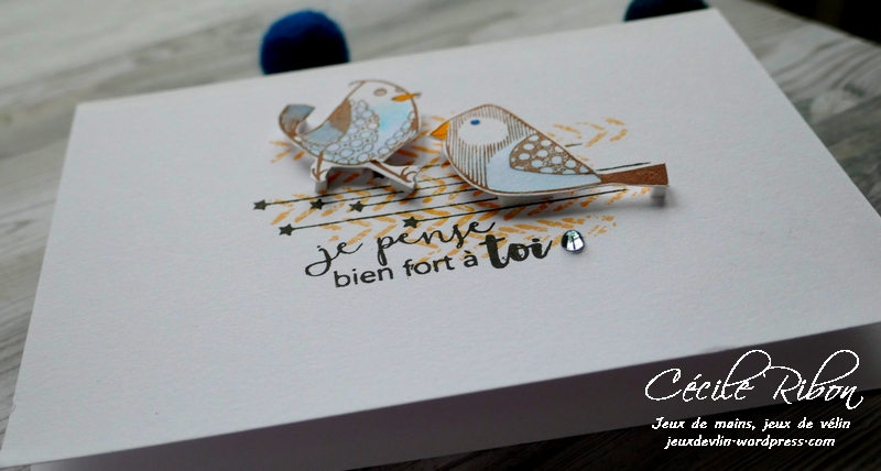 Carte CTD534 - P1030599