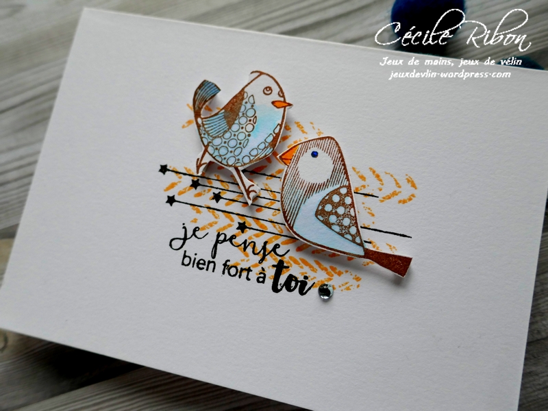 carte CTD534 - P1030606