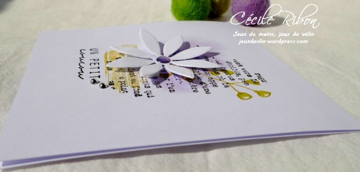 Carte CTD536 - P1030888