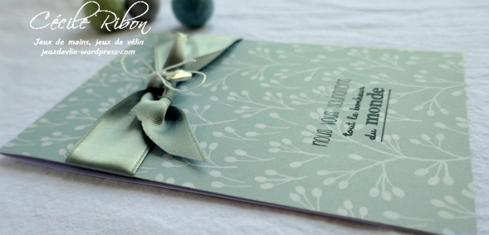 Carte CTS315 - P1030912