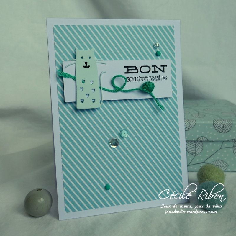 carte FUSION43 - P1030440