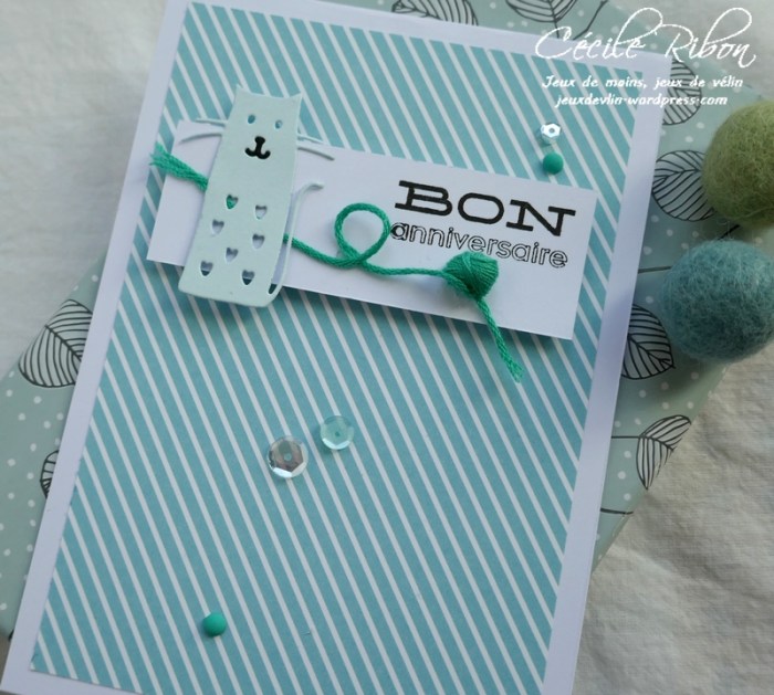 Carte FUSION43 - P1030450