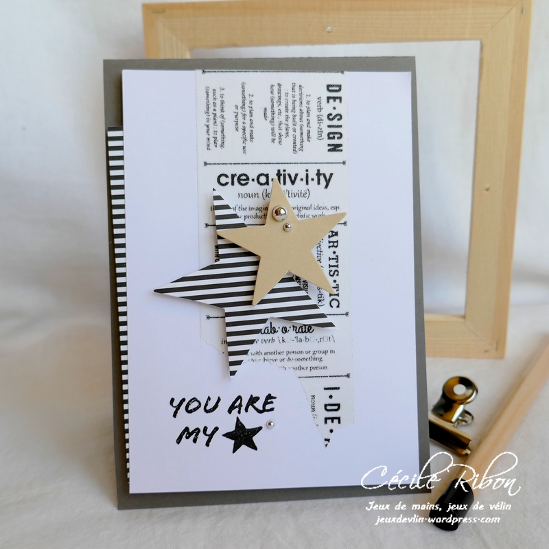 Carte Fusion44 - P1040041