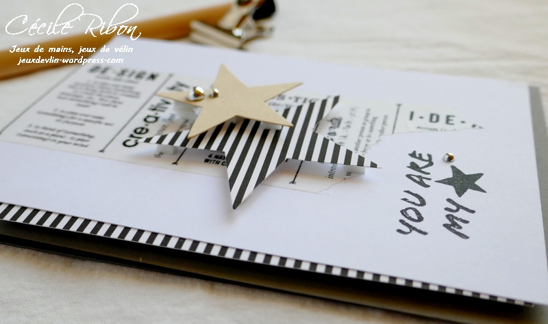 Carte FUSION44 - P1040055