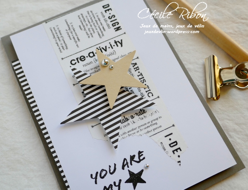 Carte FUSION44 - P1040056