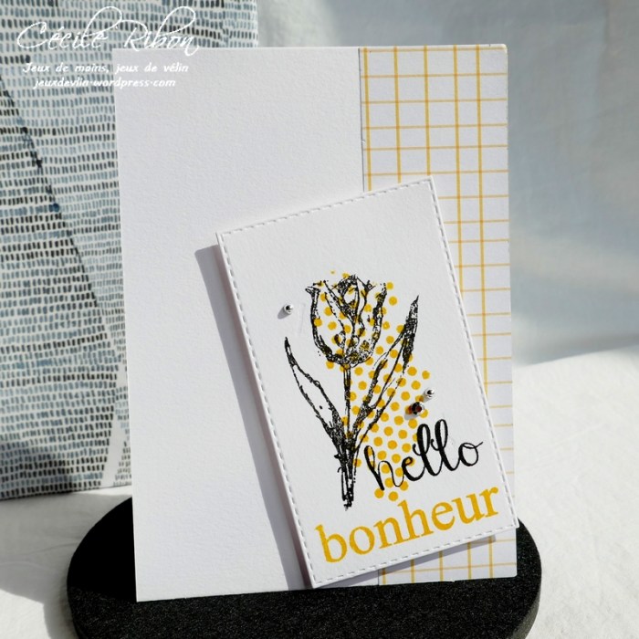 Carte Maniak198 - P1030664