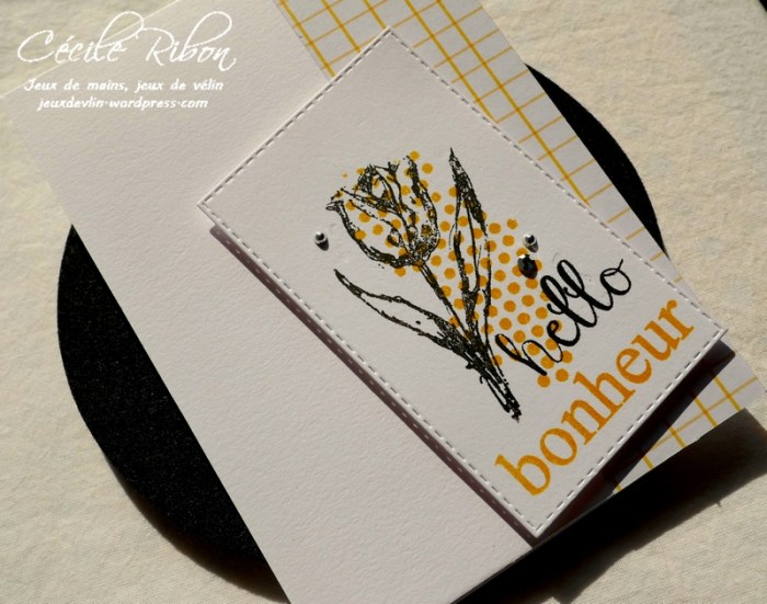 Carte Maniak198 - P1030689