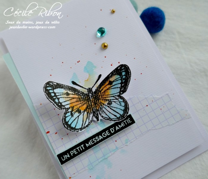 Carte AID451 - P1030827