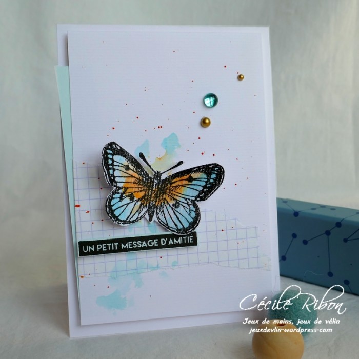 Carte AID51 - P1030804