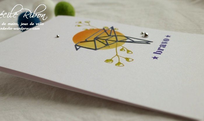 Color Throwdown #540