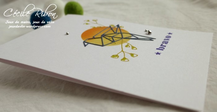 Carte CTD540 - P1040633