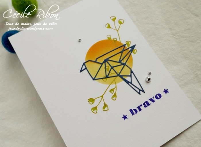 Carte CTD540 - P1040641