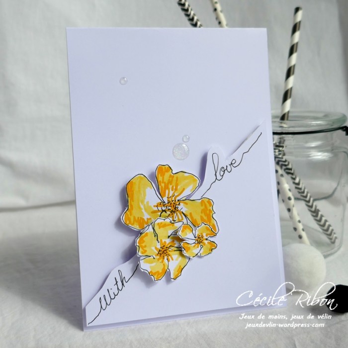 Carte CTS316 - P1040227