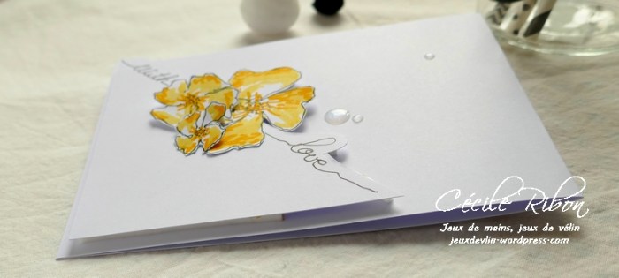 Carte CTS316 - P1040235